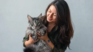 Indian Pet Parents Are Exploring Simple Home Activities To Keep Indoor Dogs And Cats Engaged