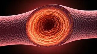 Unveiling Cholesterol's Impact: A Comprehensive Guide