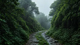 Maharashtra Monsoon Trends Explode Across Active Trekking Communities Globally