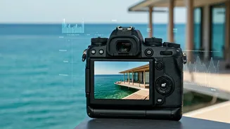 Real Time Digital Tracking Locates Hidden Waterfront Homestay Clearance Rates