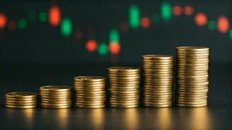 Top 5 Large-Cap Funds: Risk-Adjusted Returns