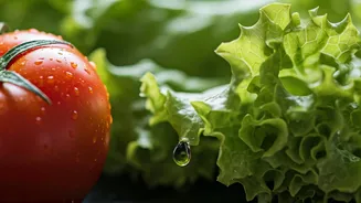 Mastering Safe Salad Consumption: Avoid Stomach Infections with These Expert Tips