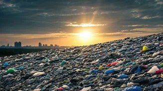 India's Waste Crisis: A Call for Overhaul by NGT