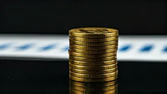 India's Economic Outlook: Decoding IMF Ratings & Market Trends