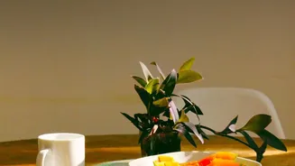 Could Your Morning Routine Be Affecting Blood Sugar Before Breakfast