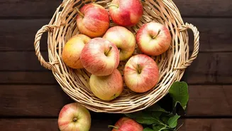 Kashmir Cooperatives Boost Apple Cold Storage Infrastructure To Ensure Seamless Harvest Logistics