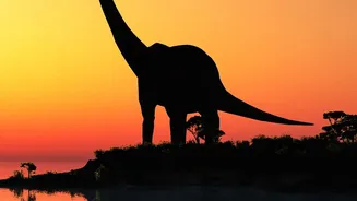 The New Tiny-Dinosaur Study Adds A New Piece To Early Mammals In Small Ecological Niches