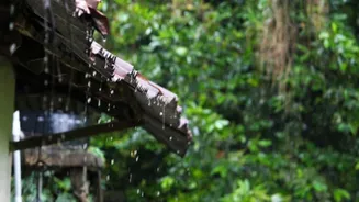 Heavy rains to lash Jammu, Himachal, Assam; alert sounded in Punjab, Haryana, Bengal