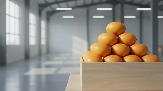 How Mango Growers Benefited from a Landmark US-India Trade Understanding