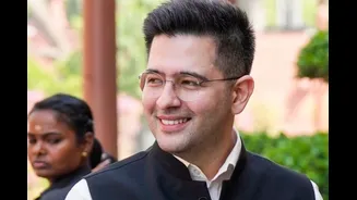 AAP Prepares Plea To Disqualify Raghav Chadha, 6 AAP MPs After Shock Exit: Sources