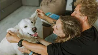 Loyal's LOY-002 advances after clearing 2 FDA steps in trials