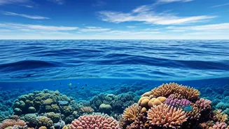 India and Sri Lanka Partner to Protect Oceans