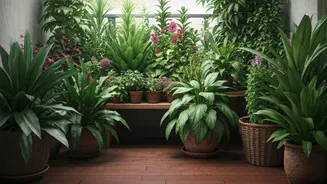 Native Plants Can Turn Any Terrace Into A Green Escape