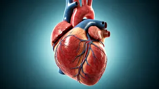 Related Stories banner