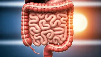 Vitamin D: 5 Crucial Insights from a Gastroenterologist