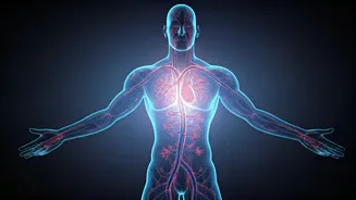 NMN Supplementation and Blood Pressure: Unpacking the Latest Research