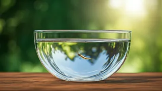 Keep Mosquitoes Away From Home By Dumping Stagnant Bowls
