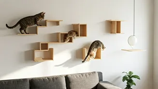 Wall Mounted Wooden Shelves Offer Safe Indoor Playgrounds For Cats