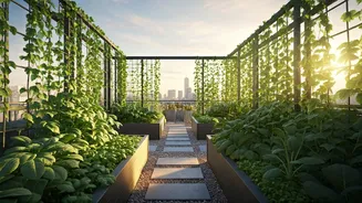 Rooftop Vegetable Patches Offer Aesthetic Sanctuary Layouts For Urban Homes