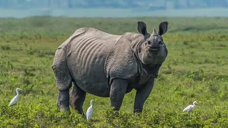 Kaziranga Roadmap Puts Eco-Friendly Growth At The Centre Of Tourism