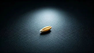 Oats: A Closer Look at Their Health Benefits and Hidden Downsides
