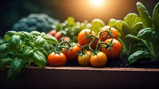 Home Gardens Can Make A Real Difference