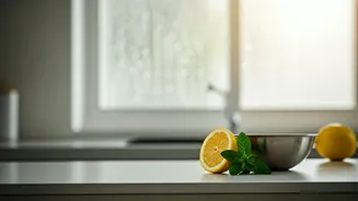Cosy Monsoon Menus Still Need Clean Kitchens
