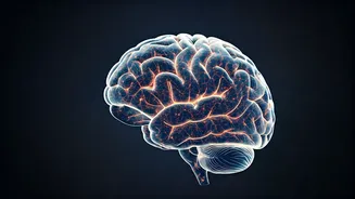 9 Daily Habits for Peak Brain Power
