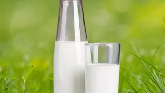 Calcium Intake Depends on the Whole Day, Not One Glass of Milk