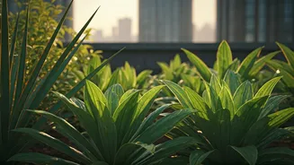 Urban India Falls For Native Plants