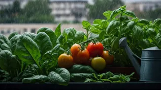 Urban Gardening Wins This Monsoon