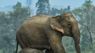 IRCTC launches Mumbai wildlife tour packages