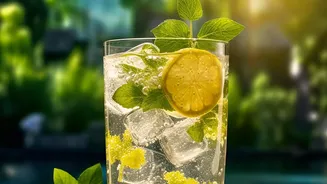 How To Maintain Energy And Hydration During High Humidity Days In August