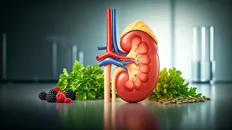 Unlock Kidney Health: 7 Expert Nutrition Secrets for Managing Chronic Kidney Disease