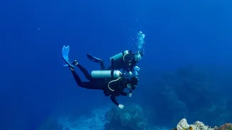 New species found in deep ocean depths