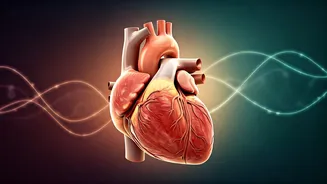 Beyond the Walk: Unlocking Metabolic Health After 30 with Protein and Strength