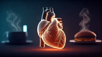 Evening Habits That Secretly Harm Your Heart: A Doctor's Guide to Better Cardiovascular Health