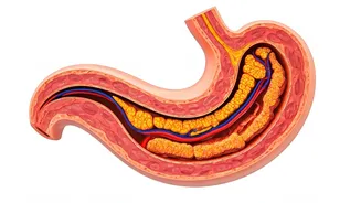 Unraveling the Truth: Myths About Essential Nutrients