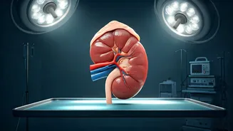 5 Kidney-Harming Morning Habits You Need to Know