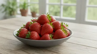 Indian Strawberry Breeding: The Difference Between Imported Planting Material and Locally Bred Varieties