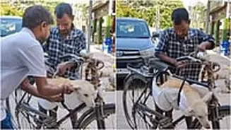 'He's Got A Big Heart': Mumbai Man Ties Sick Community Dog To Cycle, Rides To Seek Treatment; Viral Video Wins Hearts Online