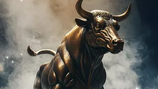 A Fair Crypto-Equity Comparison Must Separate Transactions From Net Investment