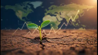 India’s 7% Outlook Offers Confidence Amid A More Fragile World Economy
