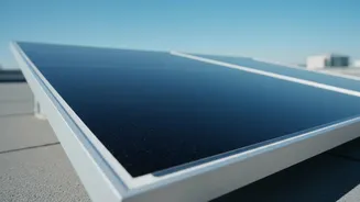 How Researchers Synthesise Melanin From Squid Ink To Build Heat-Resistant Solar Coatings