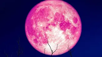 The September Sky Has Three Big Events: Venus, Equinox And Harvest Moon