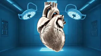 Exercise Daily for a Healthy Heart