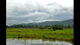 How El Niño Impacts India's Monsoon and Climate