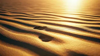 Coastal Tracks Fill Up With High Intensity Barefoot Sand Exercisers