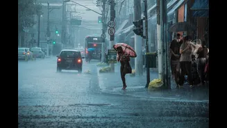 IMD Weekly Alert: Western Himalayan Region Faces Heavy To Very Heavy Rainfall All Week