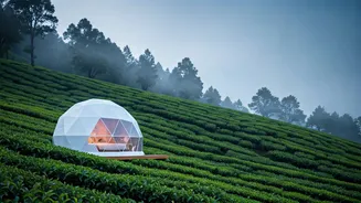 Sleep Under Misty Skies In Munnar's Trendy Geodesic Glamping Domes